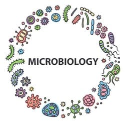 Best BSc Microbiology Hons Notes Delhi University - ShubhiPhilia Educational Content